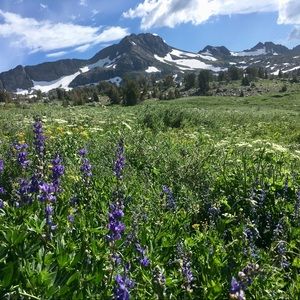 Meet your Posher, Rochelle